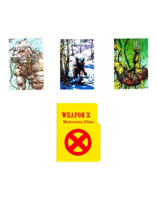 Wolverine Sabretootha Karşı