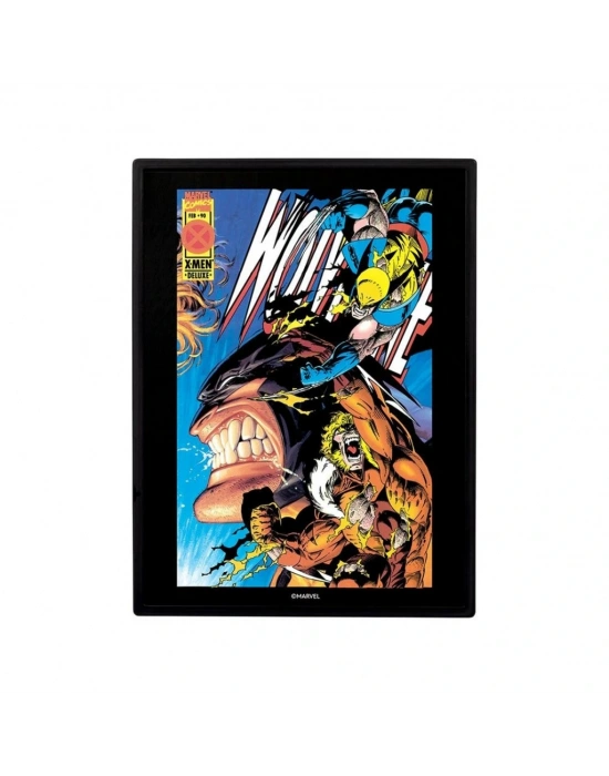 Wolverine Sabretootha Karşı