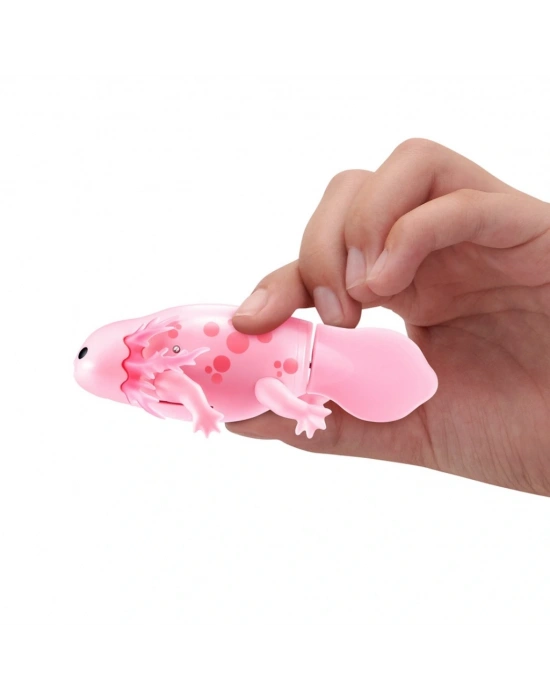 Yüzen Axolotl
