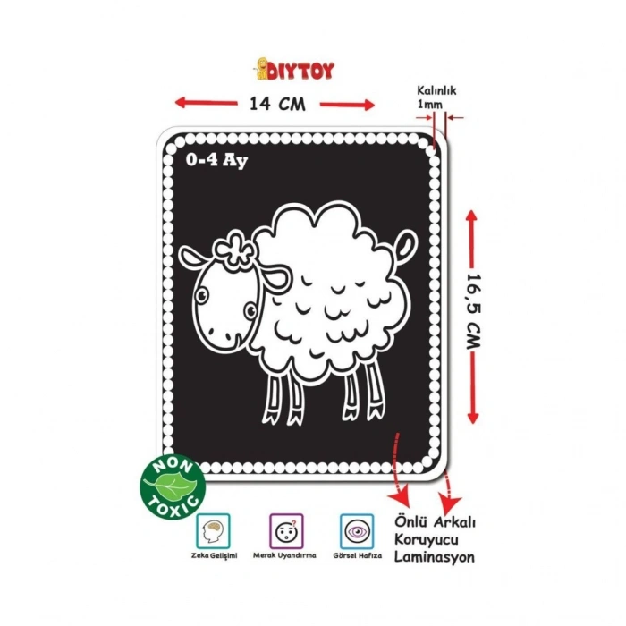 1369 BEBEĞİMİN İLK ZEKA KARTLARI