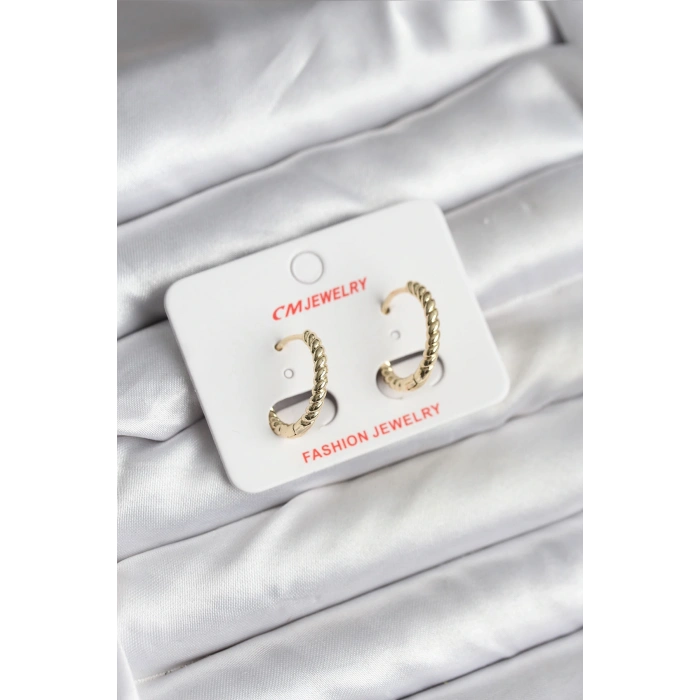 14K Gold Renk Kaplama Burgu Halka CM Kadın Küpe