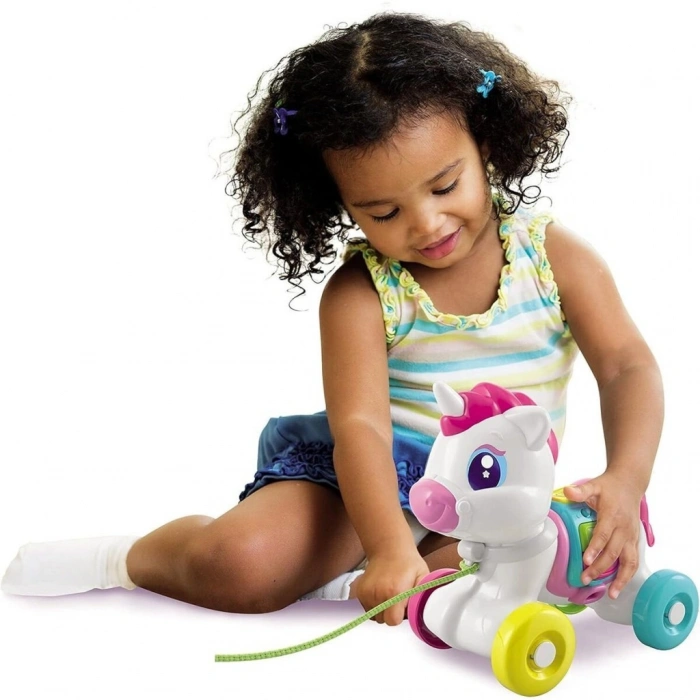 17813 Çek Çek Unicorn