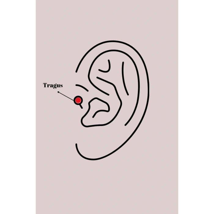 316L Çelik Gümüş Renk Zirkon Taşlı Mavi Boncuk Detay Tragus Piercing