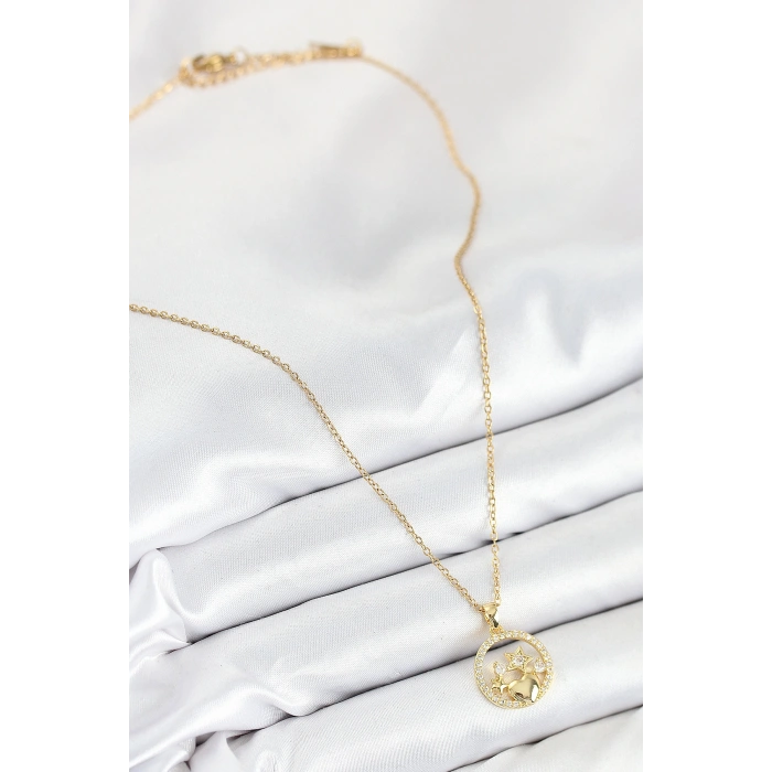 316L Çelik Zirkon Taşlı Yıldız Ve Kalp Model Gold Renk Kadın Kolye