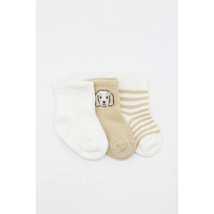 Bistyle Dog Boy 3lü Penye Soket Çorap 10134 Ekru