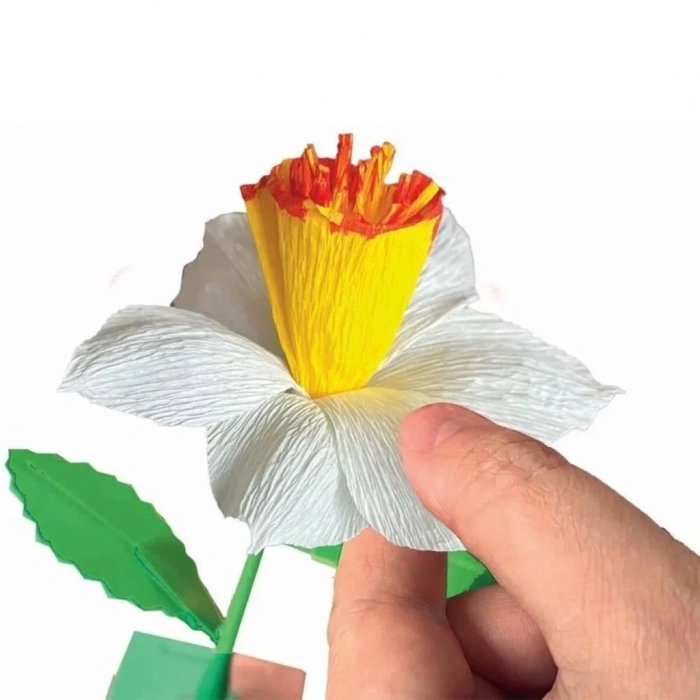 Çiçek Tasarıım Seti - Nergis