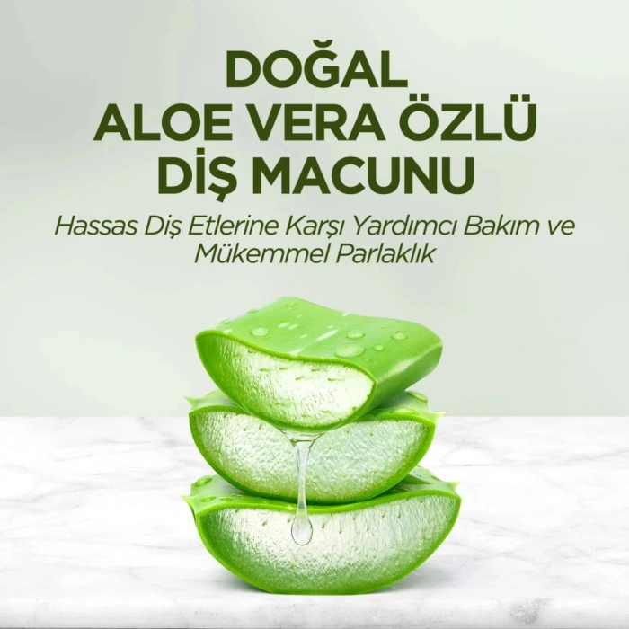 Doğal Diş Macunu 90 Gr Aloe Vera