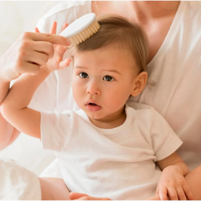  Doğal Kıl Fırça Tarak Seti 519 Gri