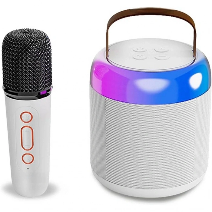 Kablosuz Mikrofonlu ve Işıklı Hoparlör