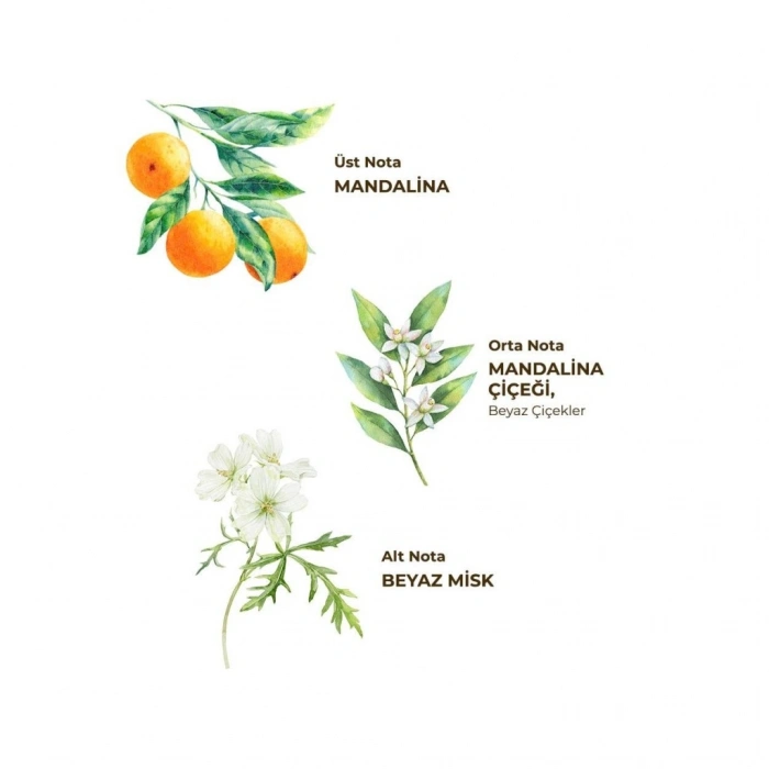 Kolonya Pet Şişe Sprey 150 ml Bodrum Man ası