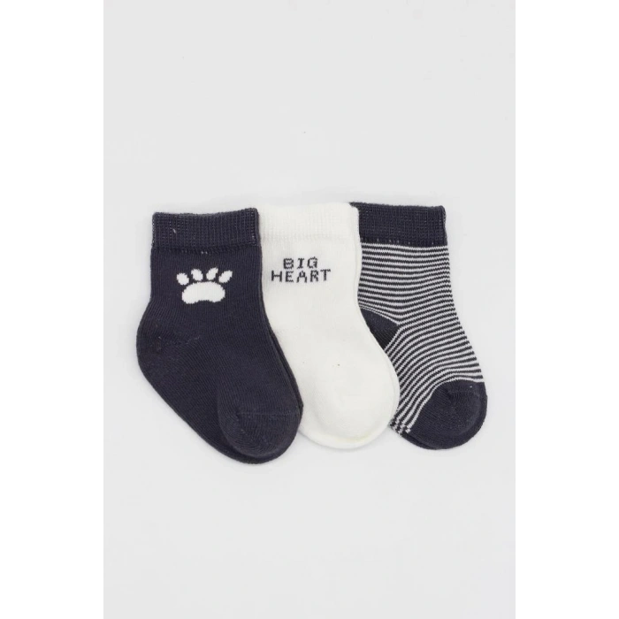 NessiWorld 3Lü Penye Soket Çorap BS10110 Antrasit