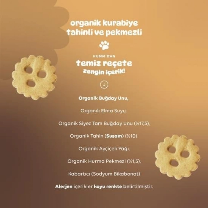 Organik Tahinli ve Pekmezli Vegan Kurabiye 55 Gr