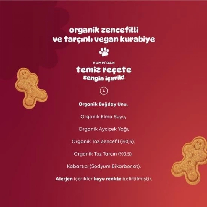 Organik Zencefilli ve Tarçınlı Vegan Kurabiye 55 Gr