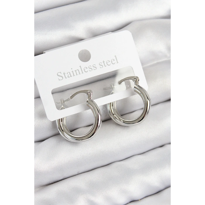 Pirinç Halka Model Gümüş Renk Kadın Küpe