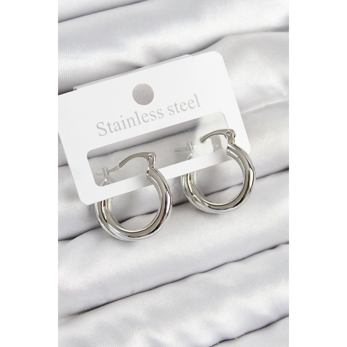 Pirinç Halka Model Gümüş Renk Kadın Küpe