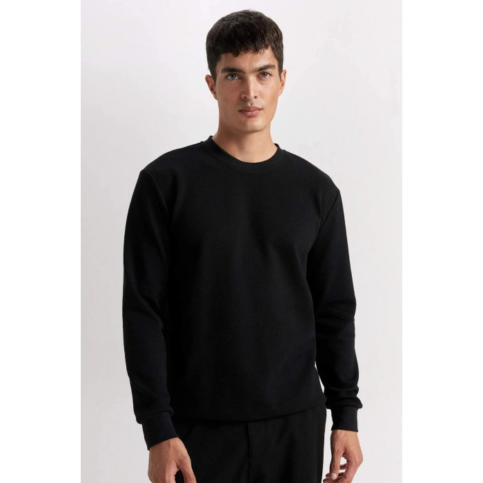 Regular Fit Bisiklet Yaka Jakarlı Sweatshirt