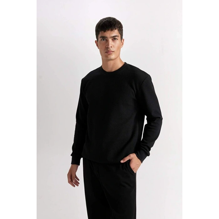 Regular Fit Bisiklet Yaka Jakarlı Sweatshirt