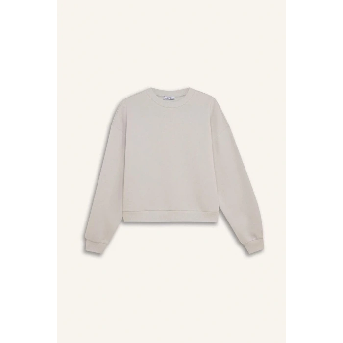 Regular Fit Bisiklet Yaka Kalın Basic Düz Sweatshirt