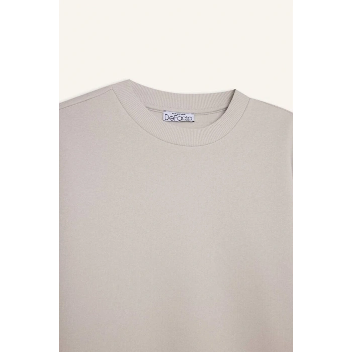 Regular Fit Bisiklet Yaka Kalın Basic Düz Sweatshirt