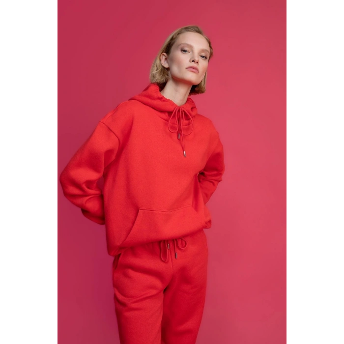 Regular Fit Kapüşonlu Sweatshirt