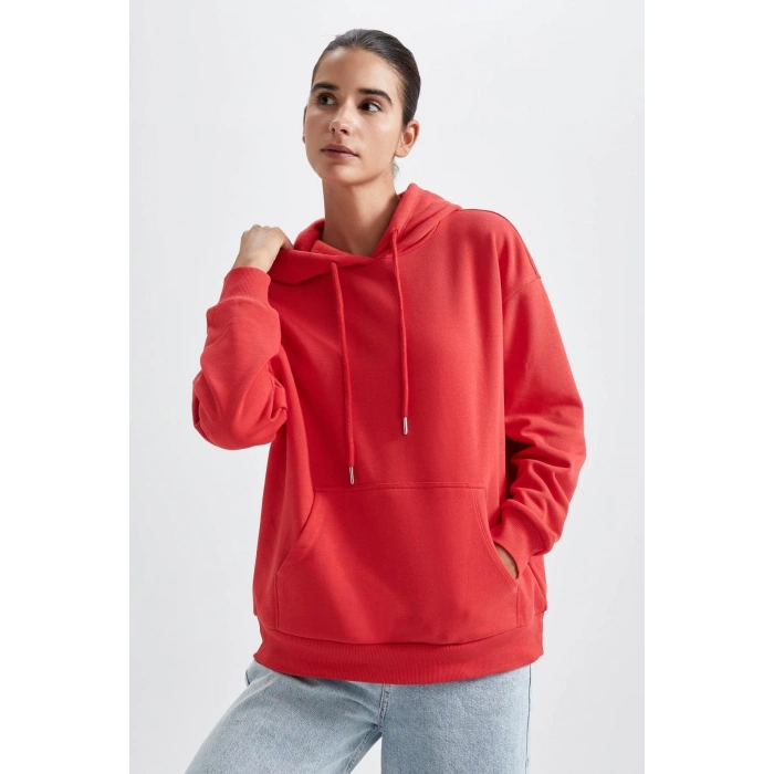 Regular Fit Kapüşonlu Sweatshirt