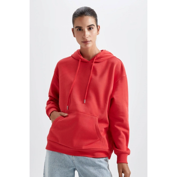 Regular Fit Kapüşonlu Sweatshirt