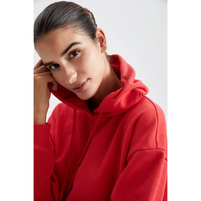 Regular Fit Kapüşonlu Sweatshirt