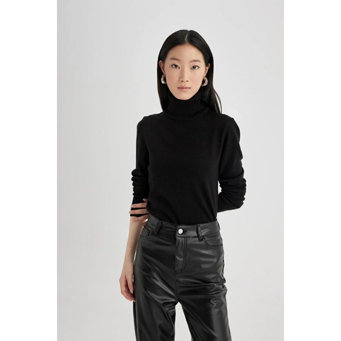 Regular Fit Yumuşak Dokulu Balıkçı Yaka Basic Düz Triko Kazak