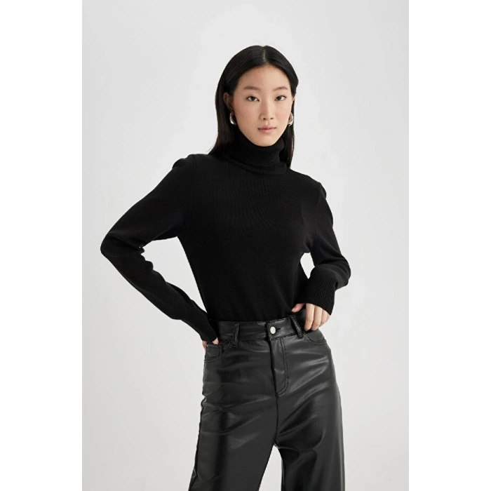 Regular Fit Yumuşak Dokulu Balıkçı Yaka Basic Düz Triko Kazak