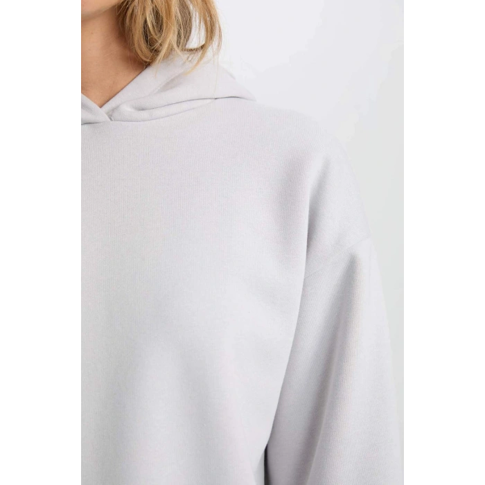 Relax Fit Kapüşonlu Kalın Basic Düz Sweatshirt D9935AX24WN