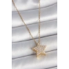 316L Çelik Gold Renk Zincir Zirkon Taşlı Yıldız Model Kadın Kolye
