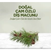 Doğal Diş Macunu 90 Gr Çam Özlü