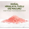 Doğal Diş Macunu 90 Gr Himalaya Tuzlu