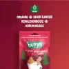 Organik Zencefilli ve Tarçınlı Vegan Kurabiye 55 Gr