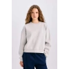 Regular Fit Bisiklet Yaka Kalın Basic Düz Sweatshirt