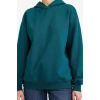 Relax Fit Kapüşonlu Basic Düz Kalın Sweatshirt D9935AX25WN