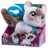 Wag-A-Lots Kedi 28059