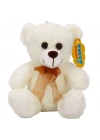 0998 PELUŞ AYI OTURAN KURDELELİ 21CM 2R