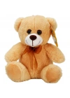 0998 PELUŞ AYI OTURAN KURDELELİ 21CM 2R