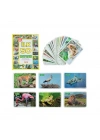 1352FlashCardsİlk50Hayvan-Dıytoy