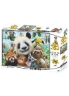 3D - Hayvanat Bahçesi Selfie 500 Parça Yetişkin Puzzle