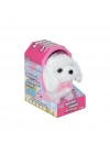 47100 Sevimli Köpek Maltese -