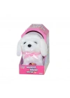 47100 Sevimli Köpek Maltese -