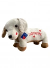 62203 PELUŞ 45 CM AŞIK KÖPEK YASTIK