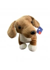 62203 PELUŞ 45 CM AŞIK KÖPEK YASTIK
