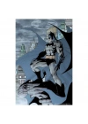 Batman Figür ve 300 Parça Puzzle
