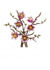 Botanicals Manolya Dalları 11510