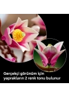 Botanicals Manolya Dalları 11510