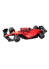 BÜYÜK FORMULA POŞETLİ