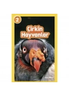 Çirkin Hayvanlar